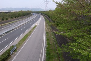 葉桜